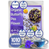Premium 1010+ Count Butterfly Pea Flowers Tea, 310+ Cups, Whole Flowers, Organic, Non GMO, Sugar Free, Gluten Free, Pure, Caffeine Free, Vegan