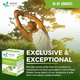 Graviola Leaf Soursop Tea - Organic Dried Leaves - Cell Support & Regeneration, Calm Relaxation - Caffeine Free -24/1g/Box