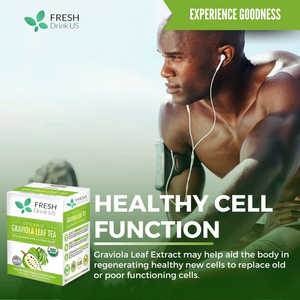 Graviola Leaf Soursop Tea - Organic Dried Leaves - Cell Support & Regeneration, Calm Relaxation - Caffeine Free -24/1g/Box